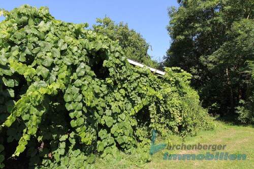 Ansicht Schuppen.jpg - 