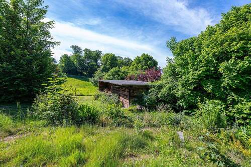 Impressionen des weitläufigen Grundstücks - 