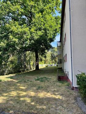 Allgemeiner Gartenbereich - Etagenwohnung mit 77,00 m² in Berlin zum Kaufen