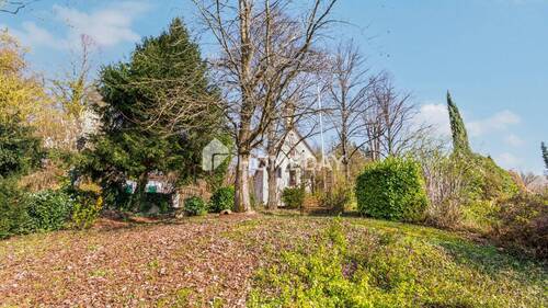 Garten 1 - 4 Zimmer Einfamilienhaus zum Kaufen in Achern