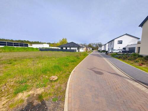 Grundstück und Nachbarbebauung - Grundstück in Neustrelitz