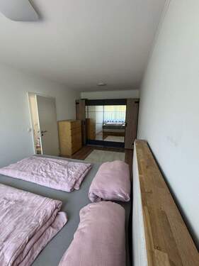 WhatsApp Image 2026-02-17 at 19.58.40.jpeg - 