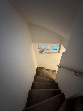 WhatsApp Image 2026-02-17 at 19.58.456.jpeg - 