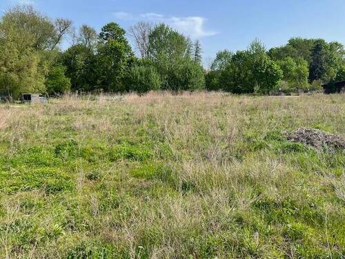 IMG 6324 - Baugrundstück in Wunschgröße - Verwirklichen Sie Ihren Traum vom Eigenheim in ländlicher Idylle