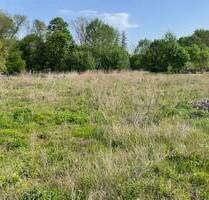 Baugrundstück in Wunschgröße - Verwirklichen Sie Ihren Traum vom Eigenheim in ländlicher Idylle - Brunn