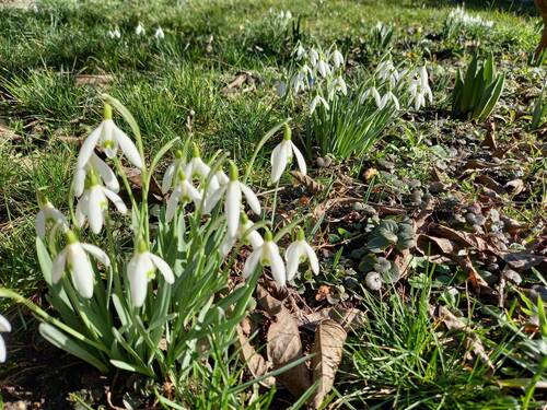 Bald beginnt die Gartenzeit wieder... - Häuschen mit Garten ...im beliebter Lage westlich von Erfurt - 20 Min. bis Erfurt Altstadt