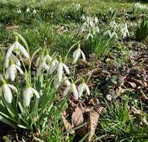 Häuschen mit Garten ...im beliebter Lage westlich von Erfurt - 20 Min. bis Erfurt Altstadt - Neudietendorf