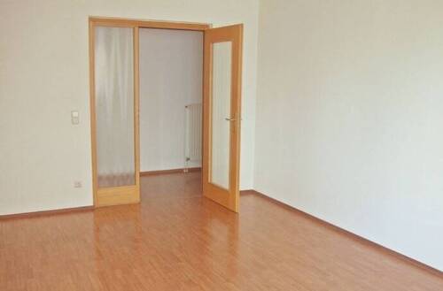 Tür mit Glaseinsatz - 