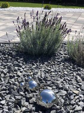 PHOTO-2022-10-27-12-11-51 - 