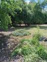 20240613_135511.jpg - Falkensee - Baugrundstück - 310.000,00&nbsp;EUR Kaufpreis, ca.&nbsp; 0,00&nbsp;m&sup2;