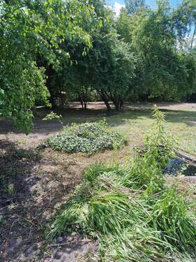 20240613_135511.jpg - Falkensee - Baugrundstück - 310.000,00&nbsp;EUR Kaufpreis, ca.&nbsp; 0,00&nbsp;m&sup2;