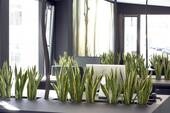 Bild 9 - 