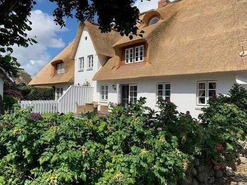 Terrasse mit Friesenwall - 