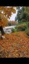 Bild 12 - 