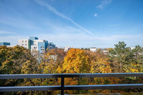 Weitblick - 