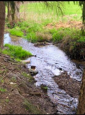 Bachlauf - 