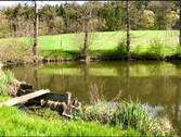 Fischweiher - 