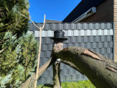 Gartendetails - 