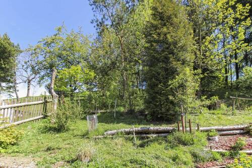 Hinterer Teil des Grundstücks - 