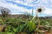 Drohne Garten Richtung See - 