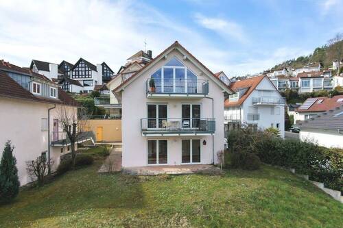 Drohne - Tolle Wohnung mit Doppelhaus-Charakter und Panoramaseeblick in Ludwigshafen