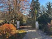 IMG_1103.jpg - 