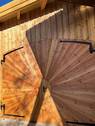 IMG_1107.jpg - 
