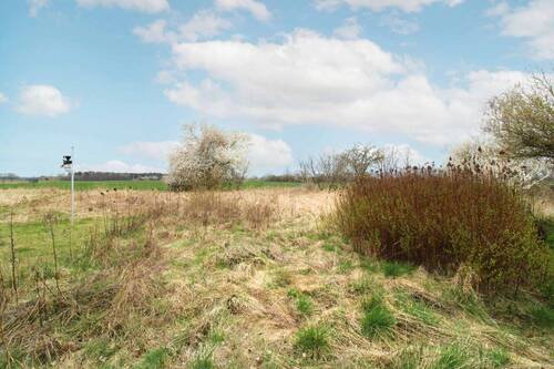 Feldrandlage - 