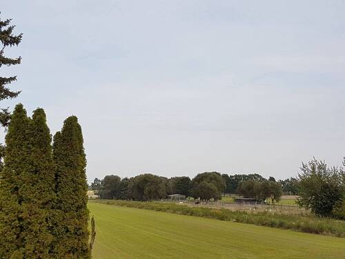 Blick - Grundstück in Stelle / Ashausen