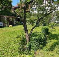 Baugrundstück mit traumhaftem Garten mitten in Grenzach-Wyhlen