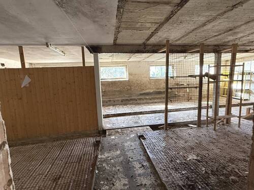 Inklusive Stallungen - 