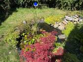 Bild 11 - 