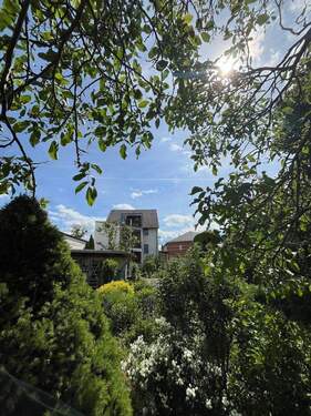 Bild 12 - 