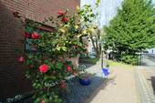Ansicht - 