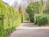 Zufahrt Garten - 