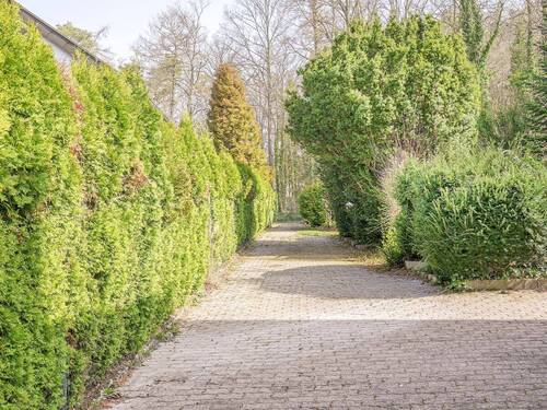 Zufahrt Garten - 