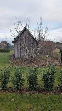 k-PXL_20251203_095836223.jpg - Grundstück in Winsen (Aller) zum Kaufen