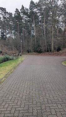 k-PXL_20251203_095855937.jpg - 