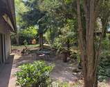 Garten mit Terrasse - 