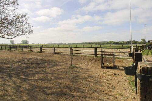 Koppel und Reitplatz - 