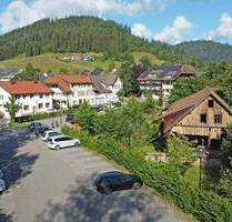 Historische Sägmühle mit Geschichte, großem Grundstück und laufenden Einnahmen - Baiersbronn Mitteltal