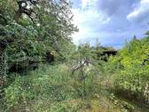 Garten 1.jpeg - 