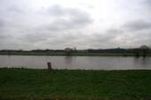 Blick über die Elbe - 