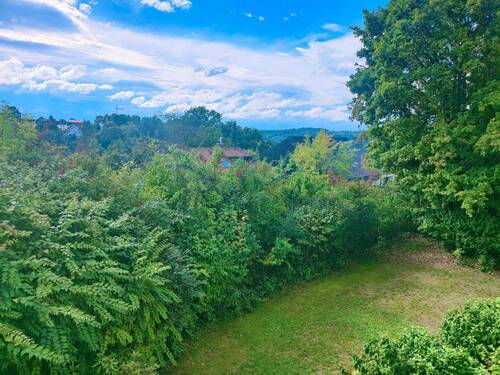 Blick in den Garten - 