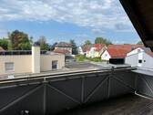 IMG_3556.jpg - 