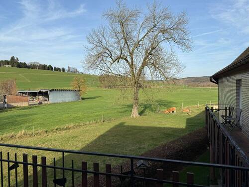 Ausblick Balkon Rückseite - 