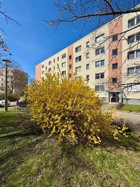 Impression Wohnalnage - Gepflegtes Hochparterre-Apartment mit Gartenanteil - ein Stück DDR-Geschichte inklusive