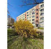Gepflegtes Hochparterre-Apartment mit Gartenanteil - ein Stück DDR-Geschichte inklusive - Berlin Kaulsdorf