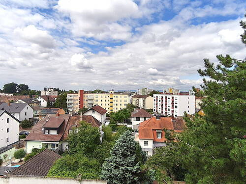 Blick ins Grüne - 