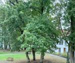 Ausblick - 